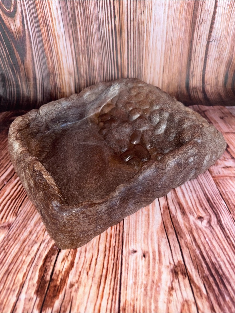 Terrassic Terrarium Décor, Ramp Bowl, Extra Large - Picture 3 of 8